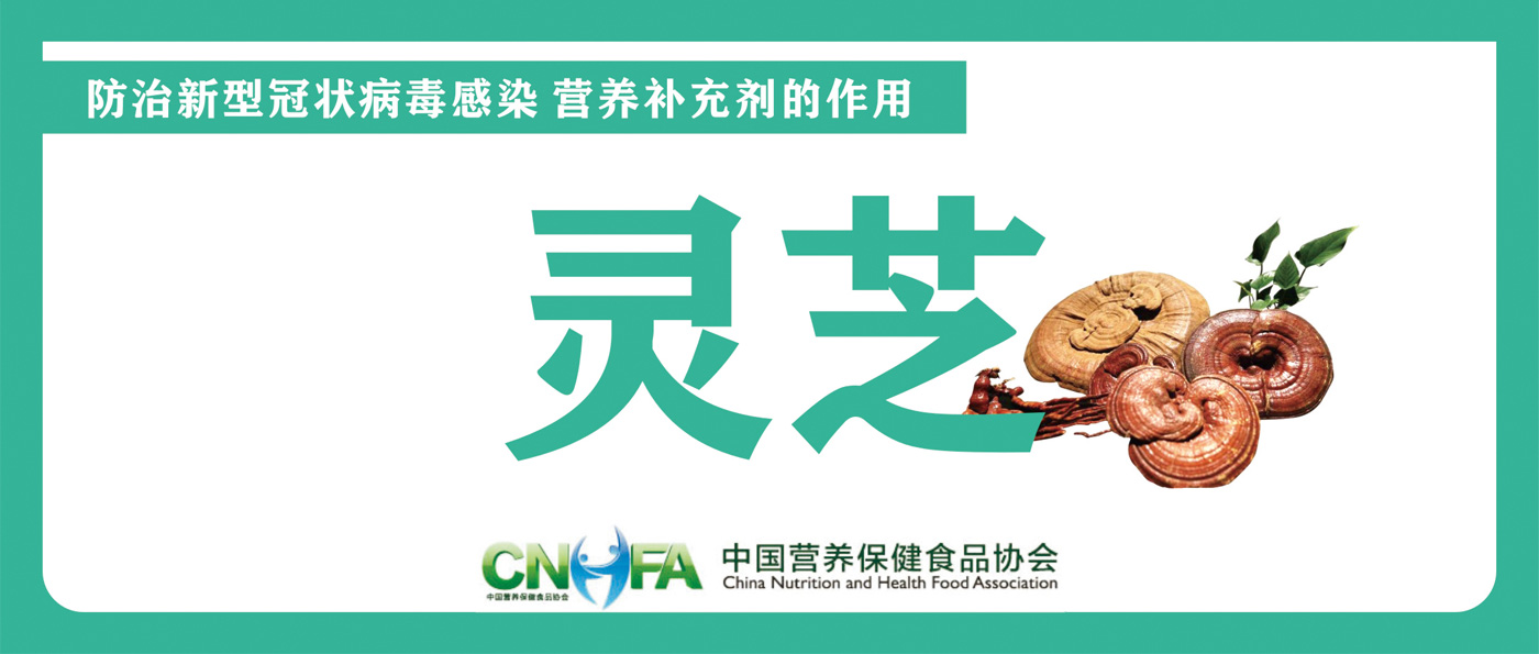 市场机会 市场机会